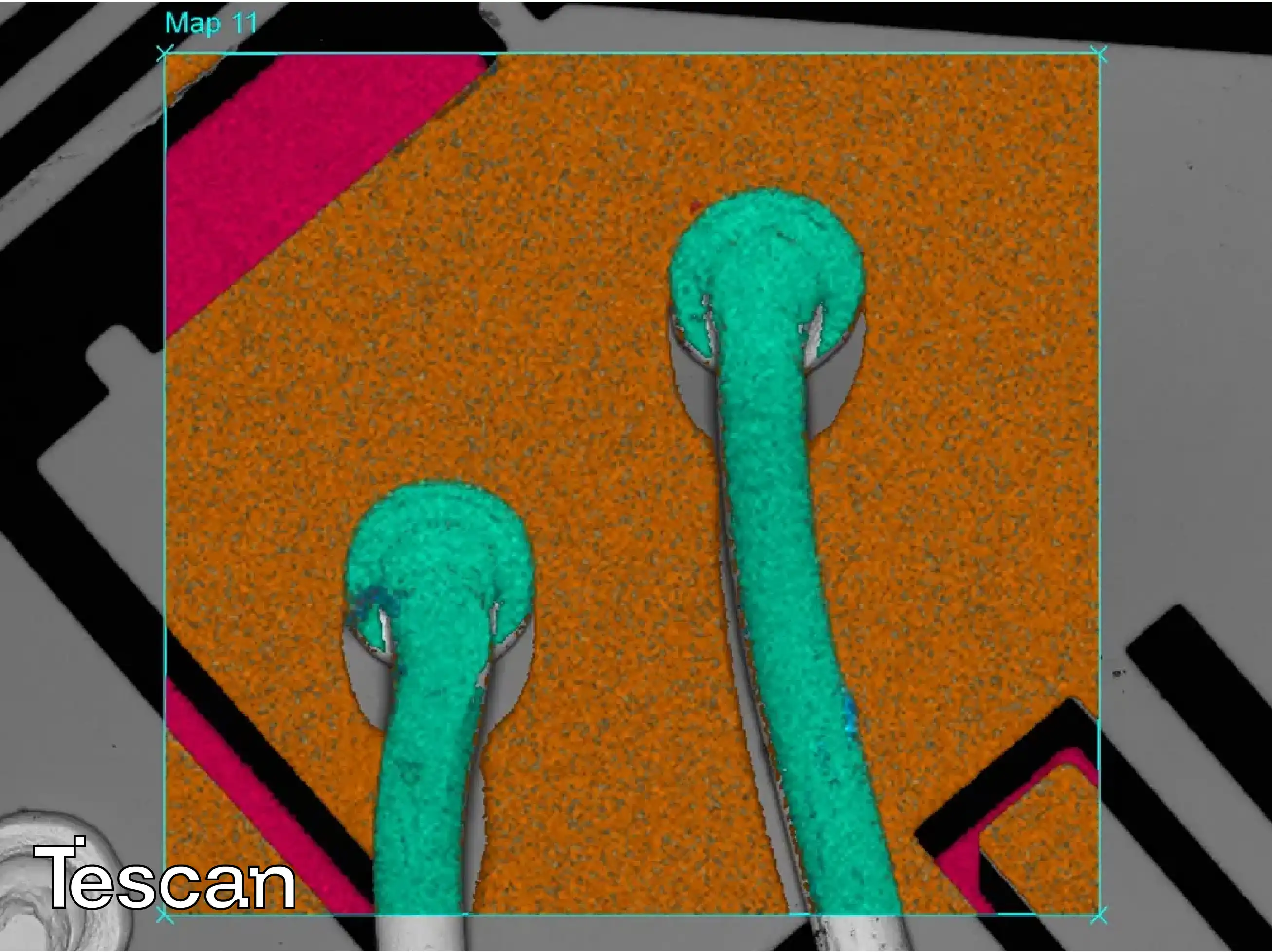 Tescan Life Science SEM